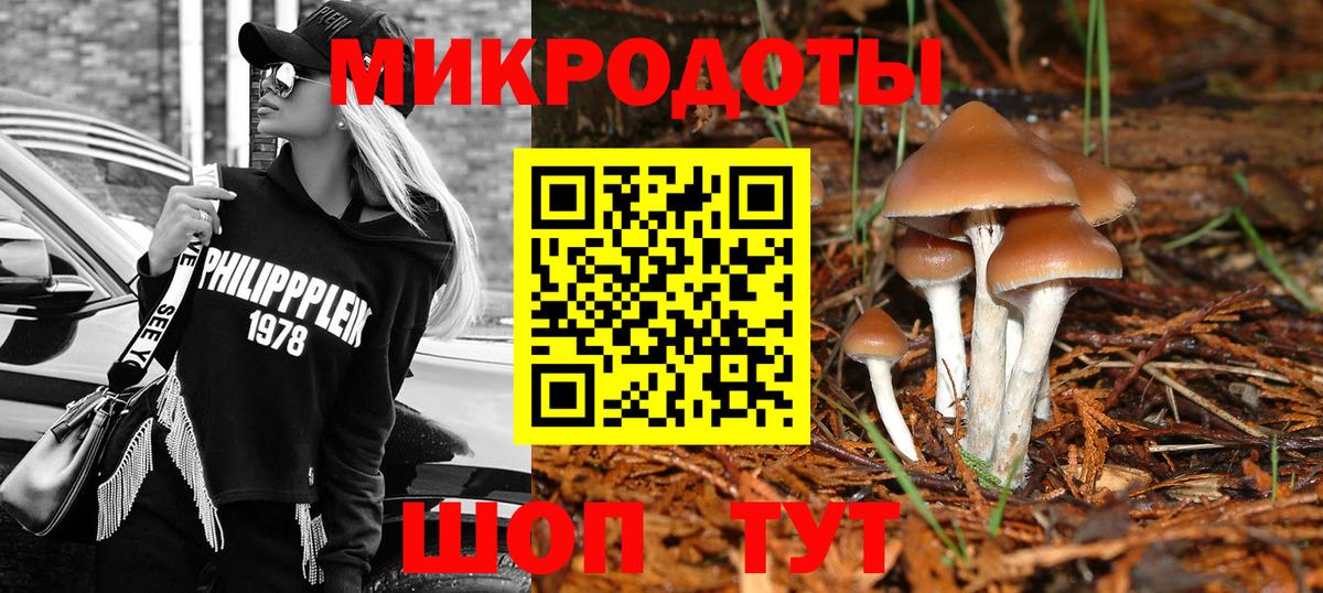 Псилоцибиновые грибы GOLDEN TEACHER Татарск