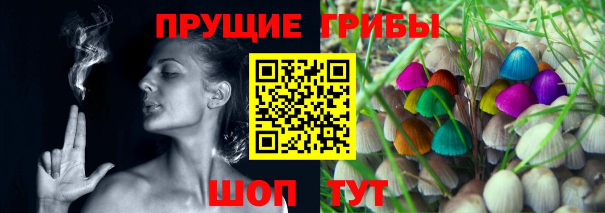 Татарск  Галлюциногенные грибы прущие грибы  Вход с VPN 